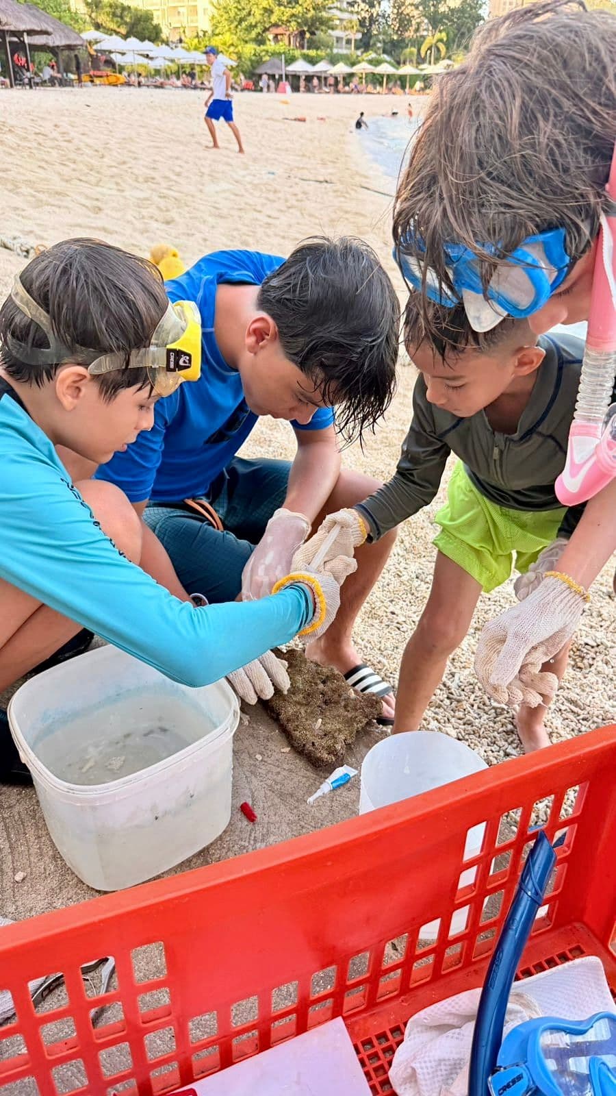 Reef Discovery Expedition Map