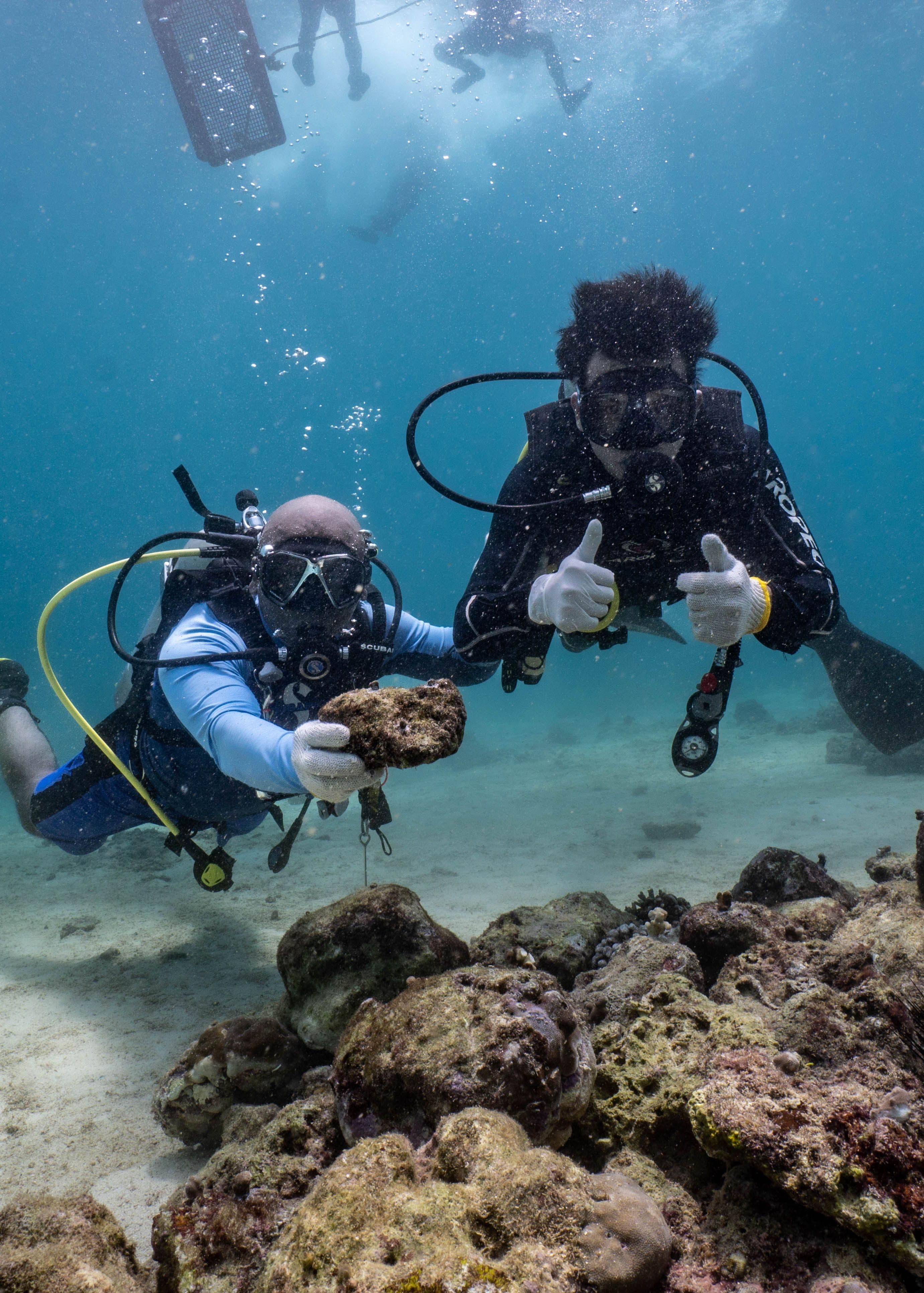 Reef Explorer Expedition Map