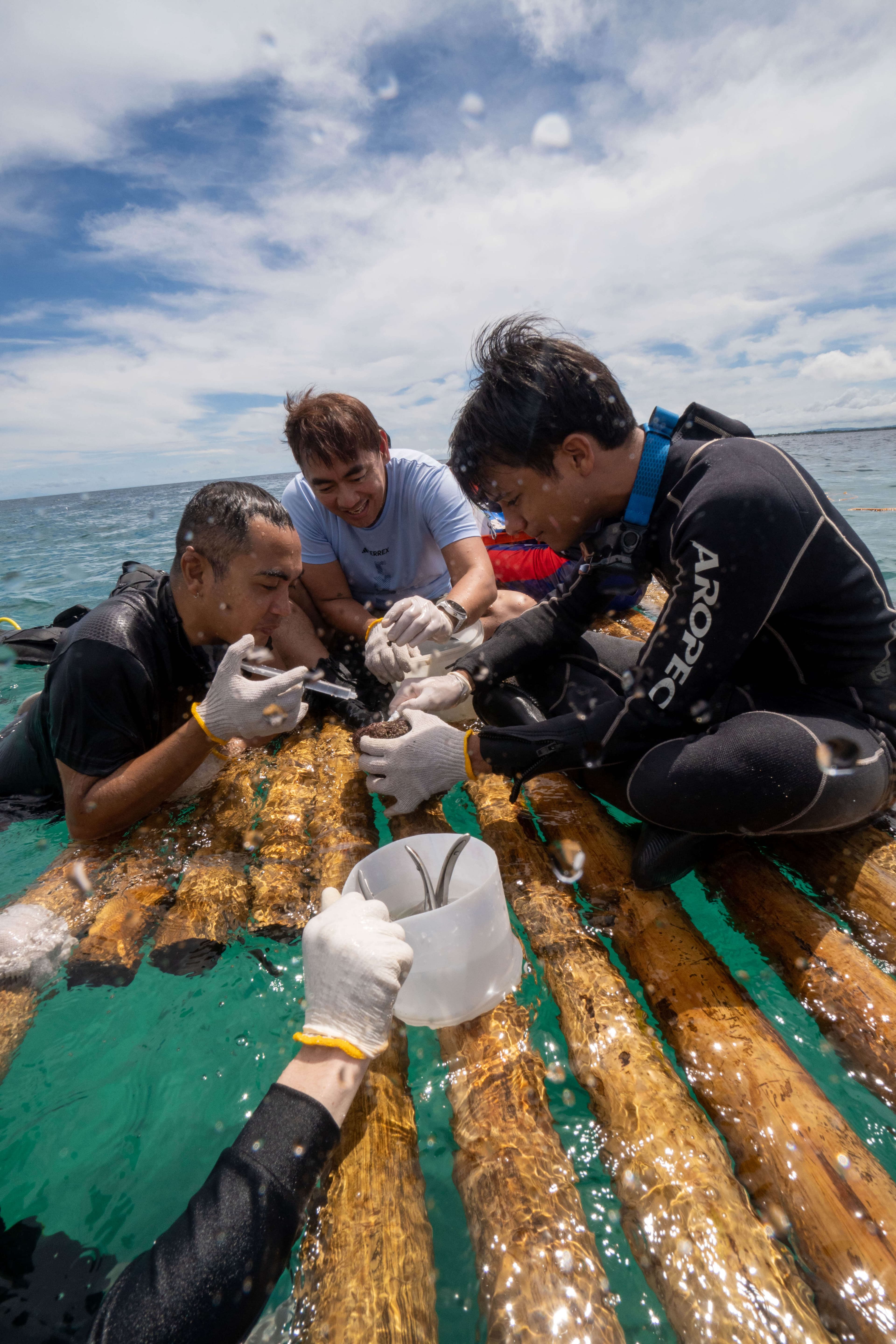 Reef Assistant Expedition Map